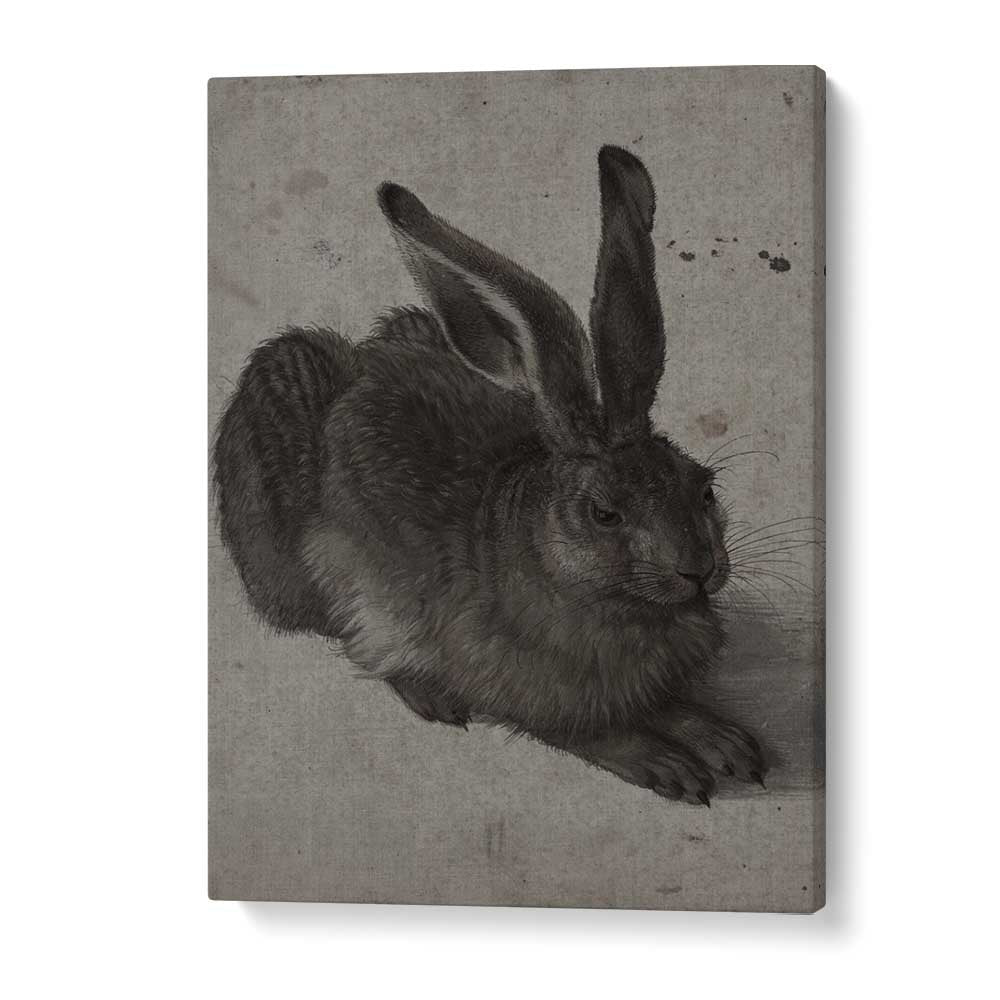 Gothic Hare Shadows In The Warren Gothic Art Prints in Gallery Wrap