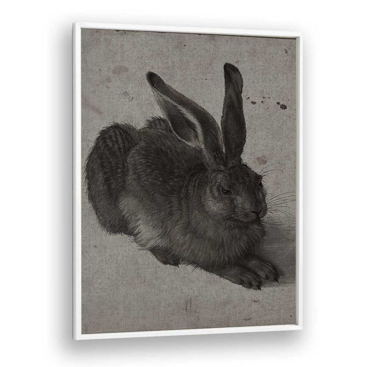 Gothic Hare Shadows In The Warren Gothic Art Prints in White Plain Frame