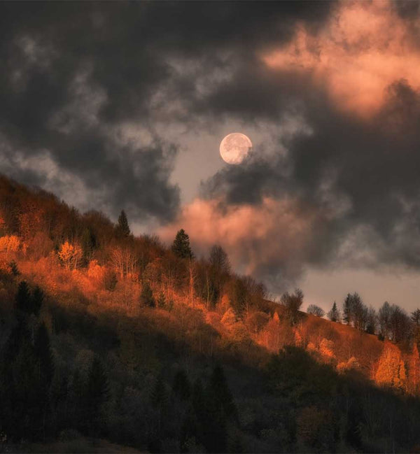 HAIM ROSENFELD - PHOTOGRAPHER