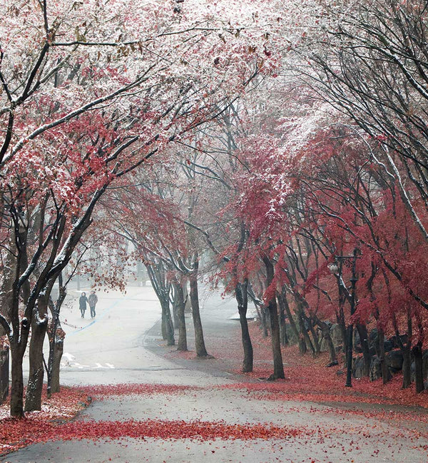 HAN DONG HEE - PHOTOGRAPHER