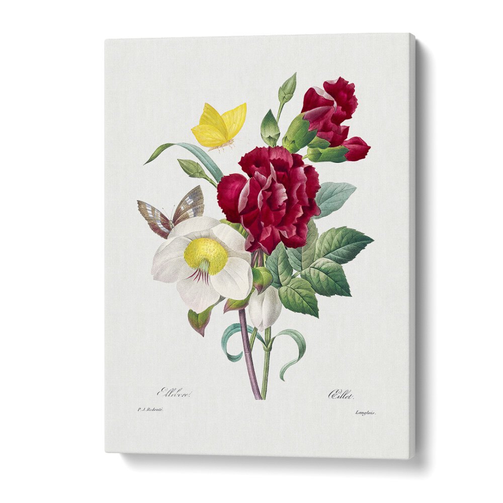 Hellebore And Oeillet Botanical Flower Paintings Artwork in Gallery Wrap