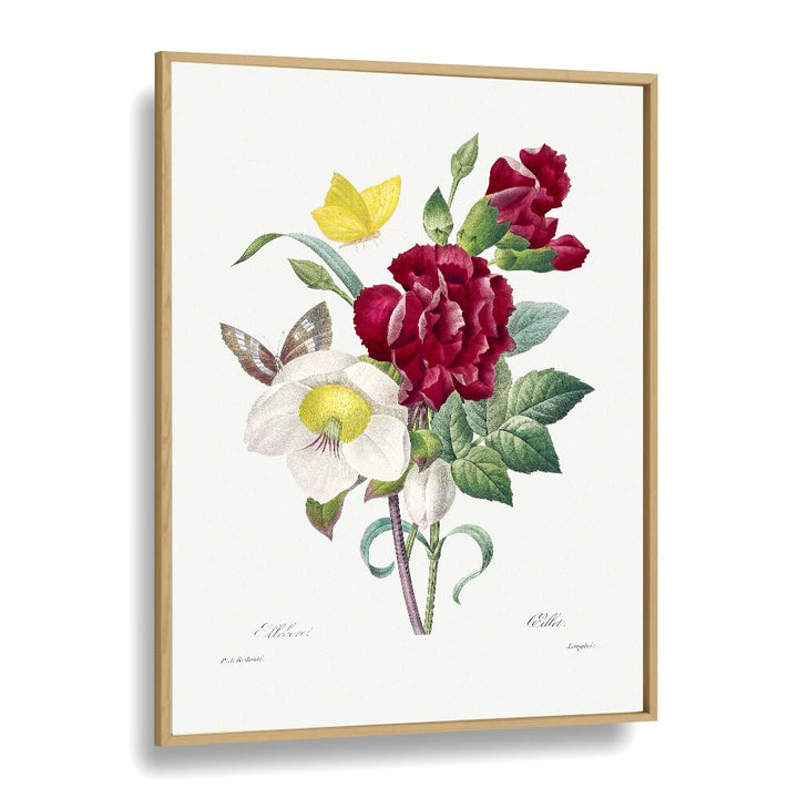 Hellebore And Oeillet Botanical Flower Paintings Artwork in Oak Wood Plain Frame