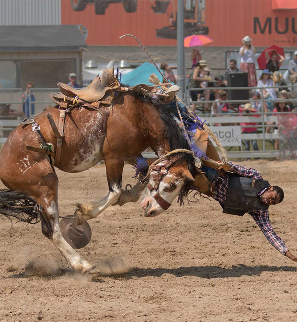 HENRY ZHAO - PHOTOGRAPHER