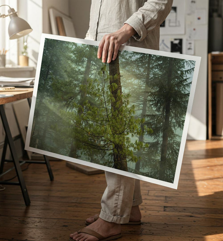 HIMACHAL VI , PHOTOGRAPHY PRINTS