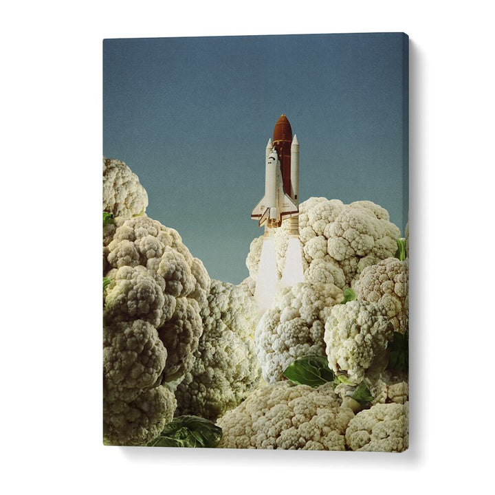 Houston We Have Cauliflower Rocket Take Off Surreal Art Artwork in Gallery Wrap