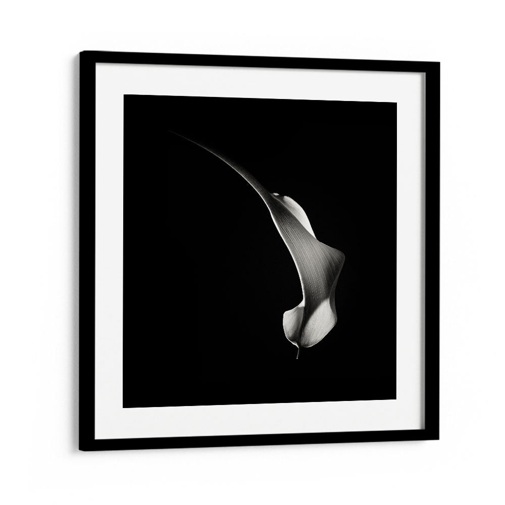 HUMMINGBIRD ABSTRACTION WILDLIFE PHOTOGRAPHY in Black Frame With Mount