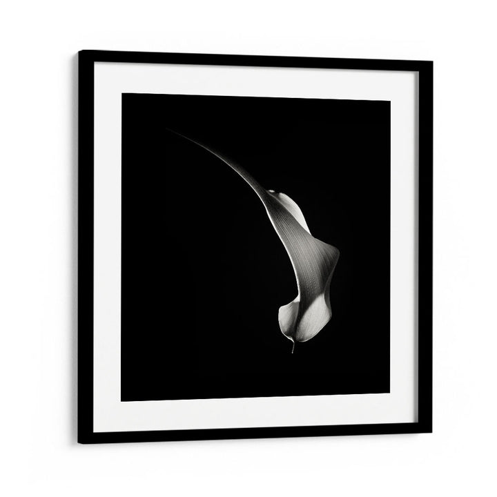 HUMMINGBIRD ABSTRACTION WILDLIFE PHOTOGRAPHY in Black Frame With Mount