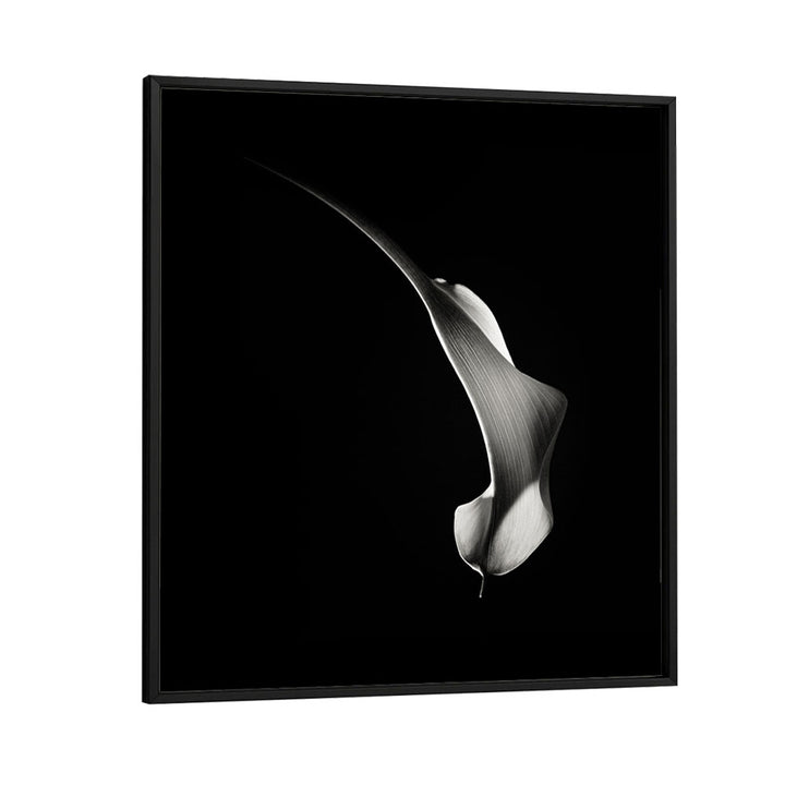 HUMMINGBIRD ABSTRACTION WILDLIFE PHOTOGRAPHY in Black Plain Frame