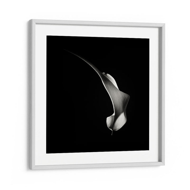 HUMMINGBIRD ABSTRACTION WILDLIFE PHOTOGRAPHY in White Frame With Mount