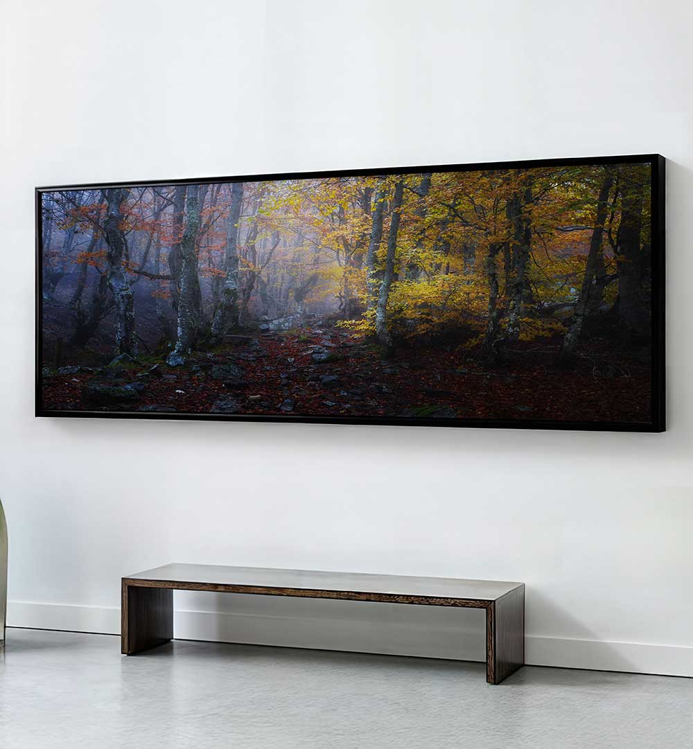 HAYEDO , PANORAMIC ART
