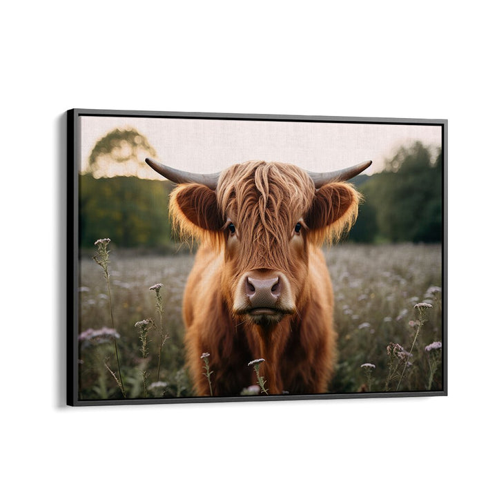 Highland Cow By Treechild Wildlife Art Prints in Black Floater Frame