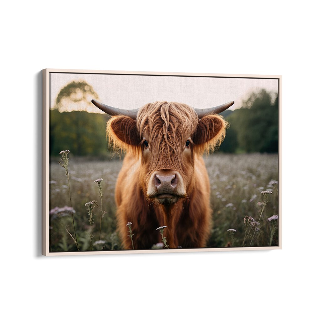 Highland Cow By Treechild Wildlife Art Prints in Oak Wood Floater Frame