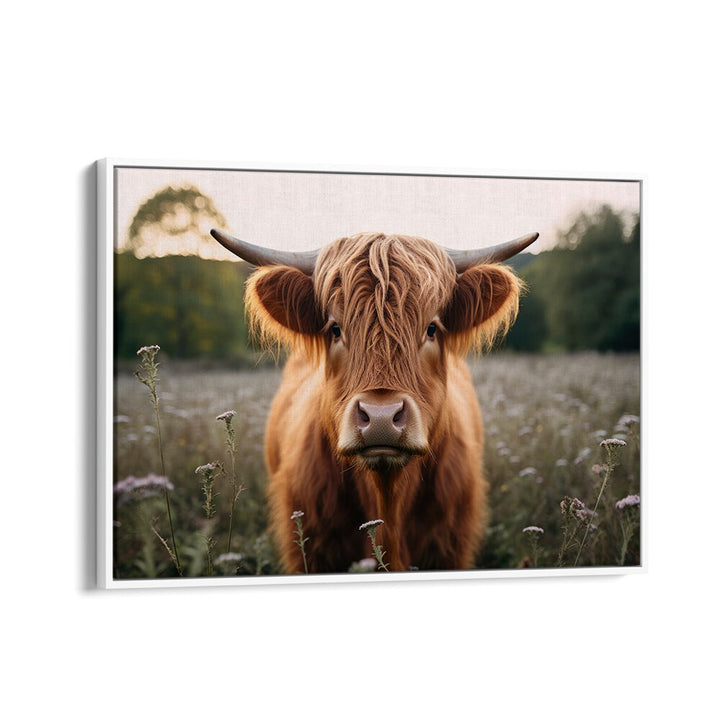 Highland Cow By Treechild Wildlife Art Prints in White Floater Frame