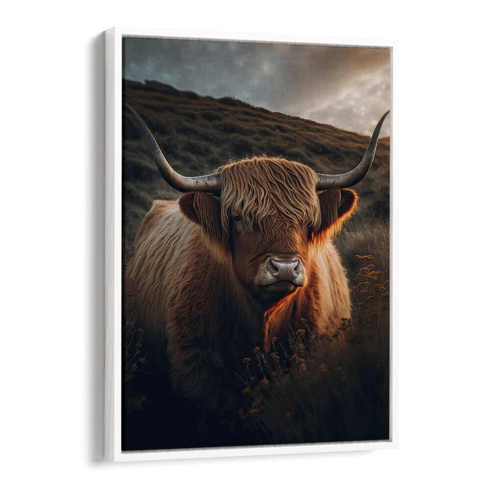 Highland Cow With Big Horns by Treechild Wildlife Art Prints in White Floater Frame