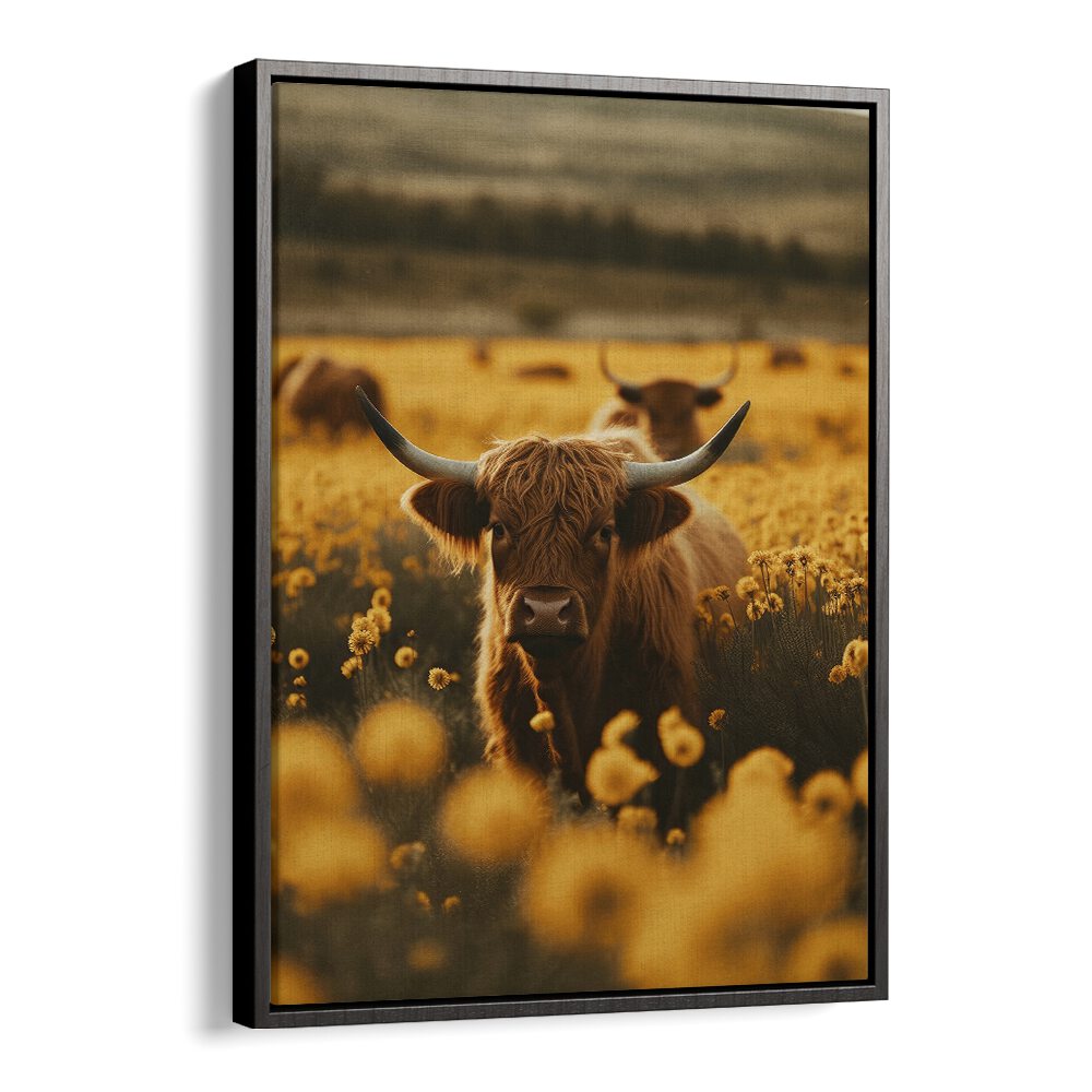 Highland Cows in Flower Field by Treechild Wildlife Art Prints in Black Floater Frame