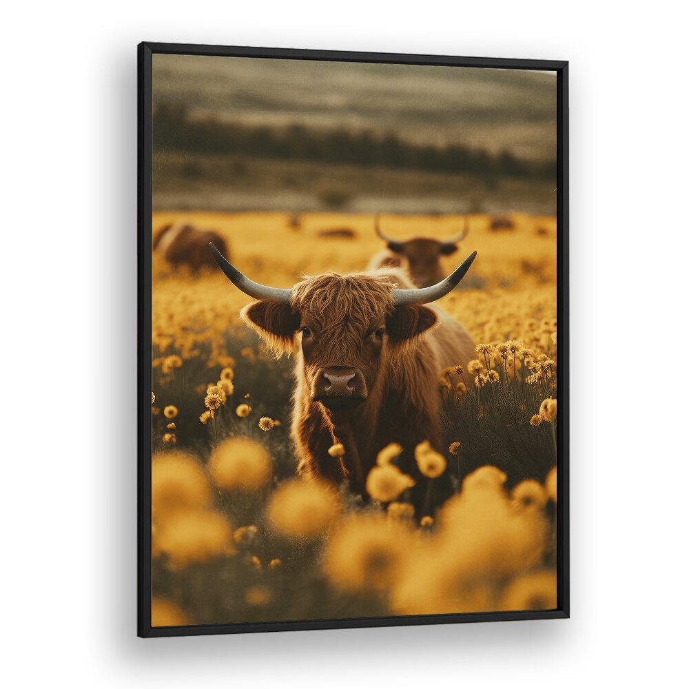 Highland Cows in Flower Field by Treechild Wildlife Art Prints in Black Plain Frame