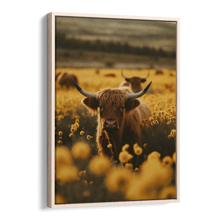 Highland Cows in Flower Field by Treechild Wildlife Art Prints in Oak Wood Floater Frame