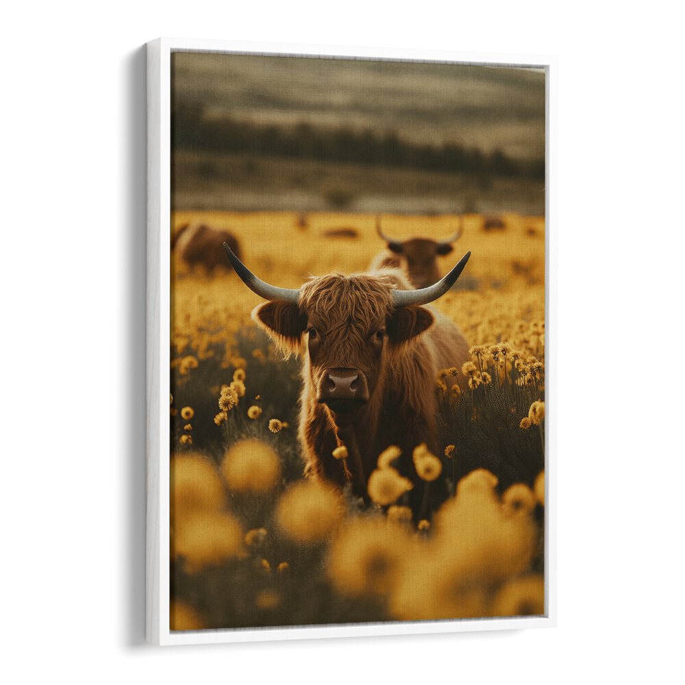 Highland Cows in Flower Field by Treechild Wildlife Art Prints in White Floater Frame