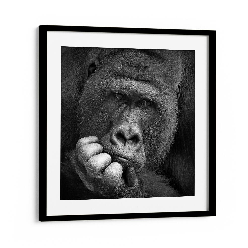 I HAD A DREAM WILDLIFE-PHOTOGRAPHY in Black Frame With Mount