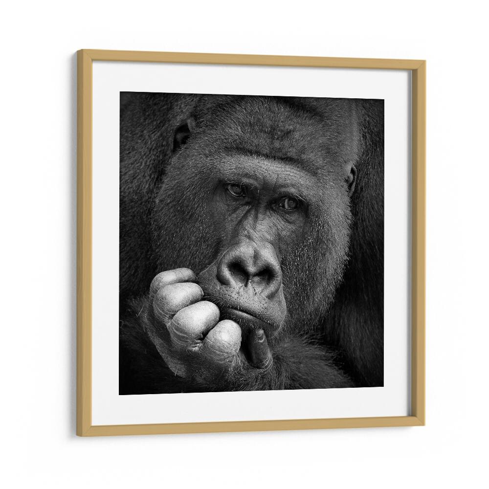 I HAD A DREAM WILDLIFE-PHOTOGRAPHY in Oak Wood Frame With Mount