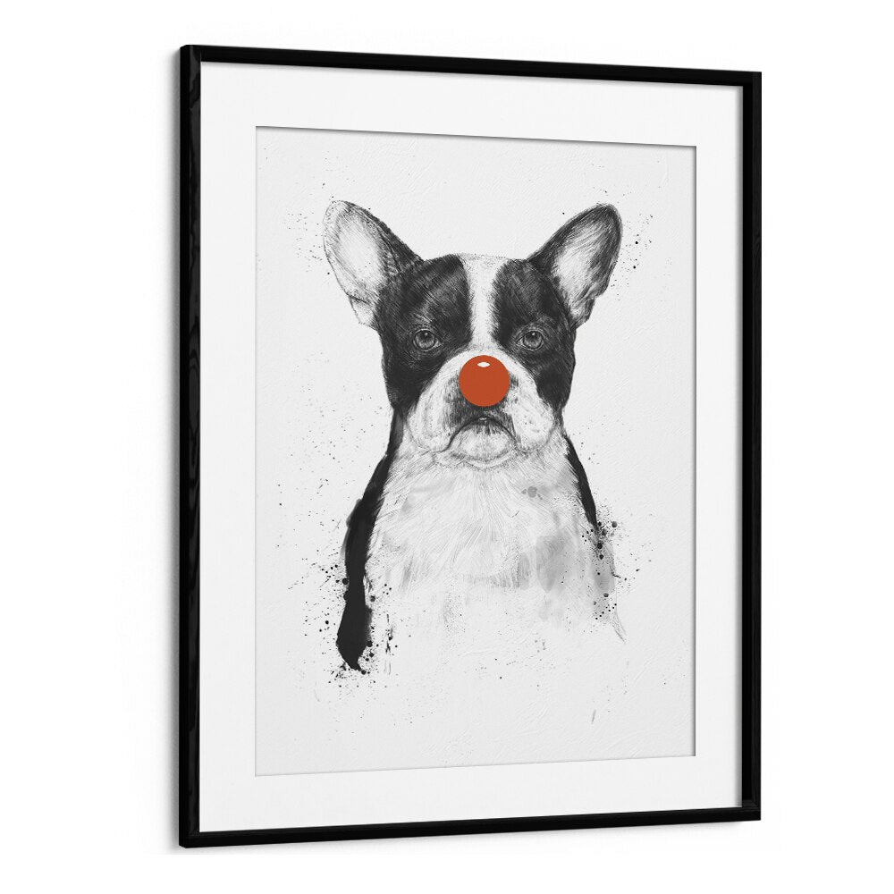 I M Not Your Clown By Balazs Solti Wildlife Art Prints in Black Frame With Mount