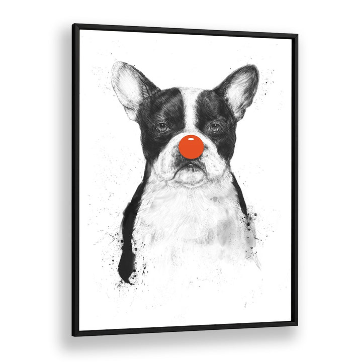 I M Not Your Clown By Balazs Solti Wildlife Art Prints in Black Plain Frame