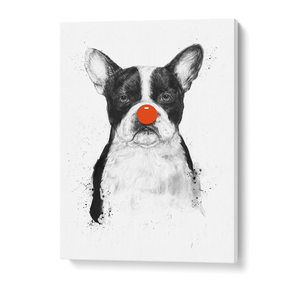 I M Not Your Clown By Balazs Solti Wildlife Art Prints in Gallery Wrap