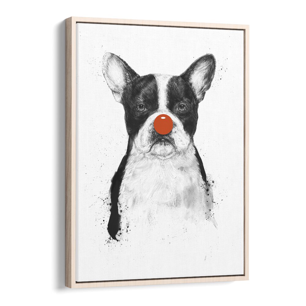 I M Not Your Clown By Balazs Solti Wildlife Art Prints in Oak Wood Floater Frame