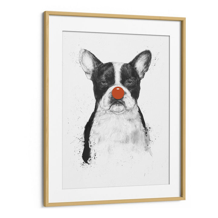 I M Not Your Clown By Balazs Solti Wildlife Art Prints in Oak Wood Frame With Mount