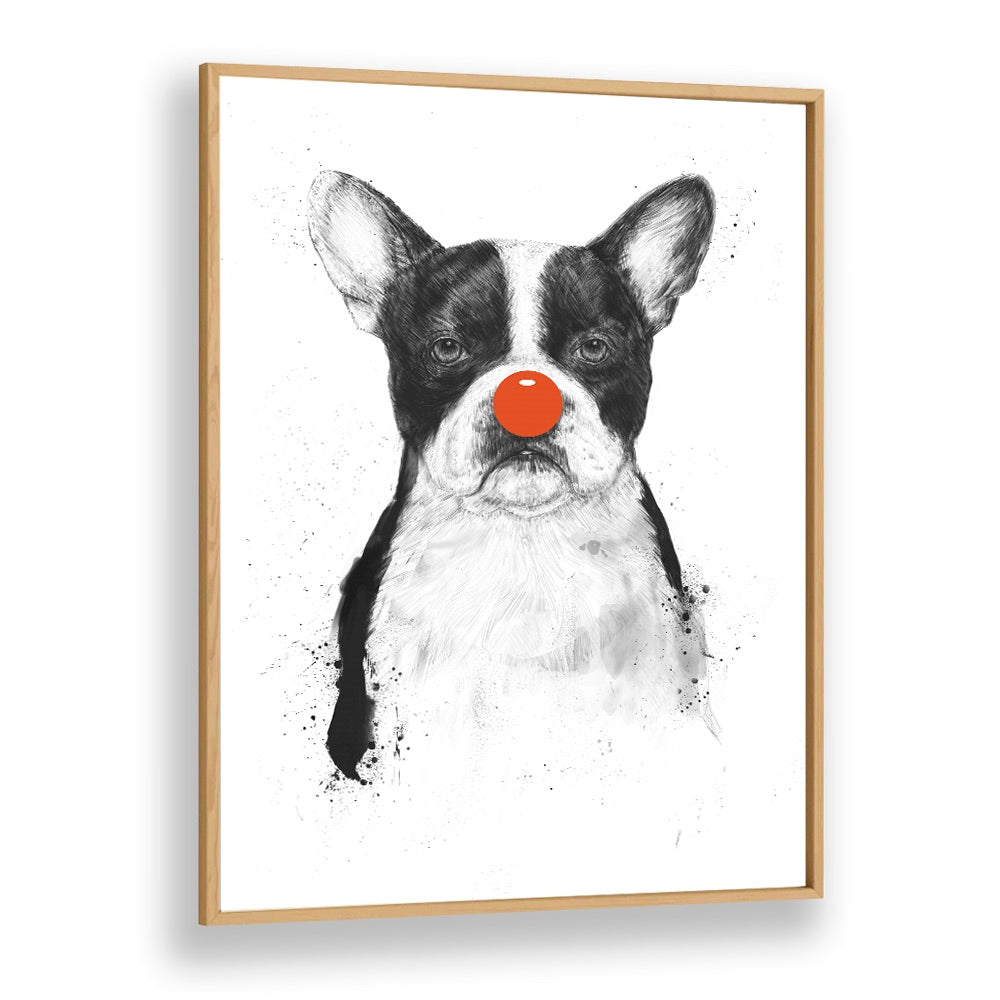 I M Not Your Clown By Balazs Solti Wildlife Art Prints in Oak Wood Plain Frame