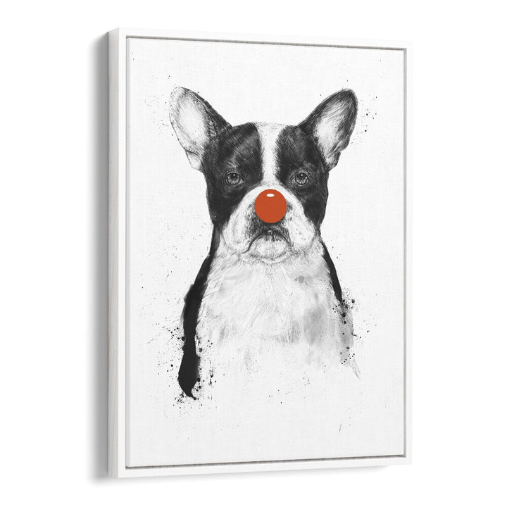 I M Not Your Clown By Balazs Solti Wildlife Art Prints in White Floater Frame