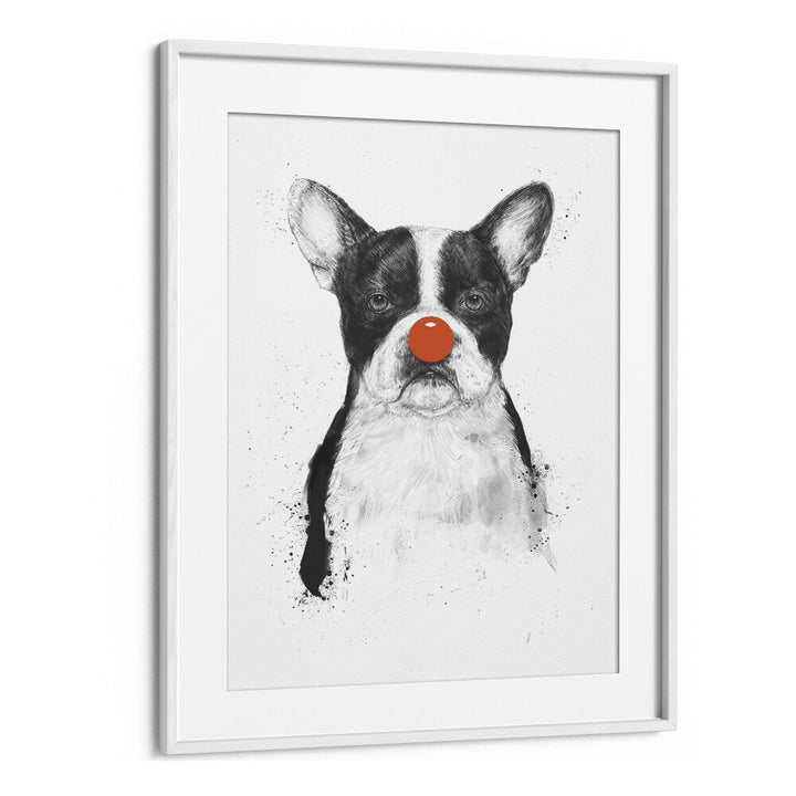 I M Not Your Clown By Balazs Solti Wildlife Art Prints in White Frame With Mount