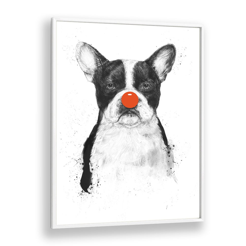 I M Not Your Clown By Balazs Solti Wildlife Art Prints in White Plain Frame