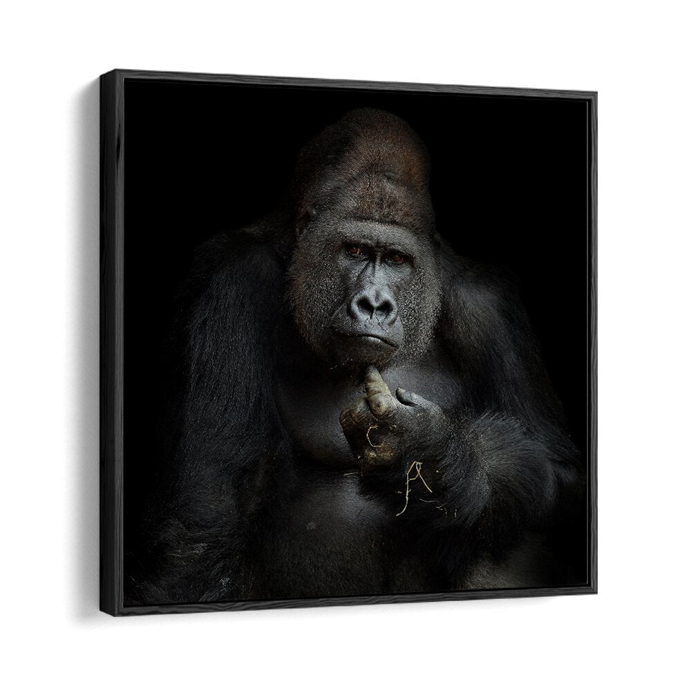 IMHOWILDLIFE PHOTOGRAPHY in Black Floater Frame