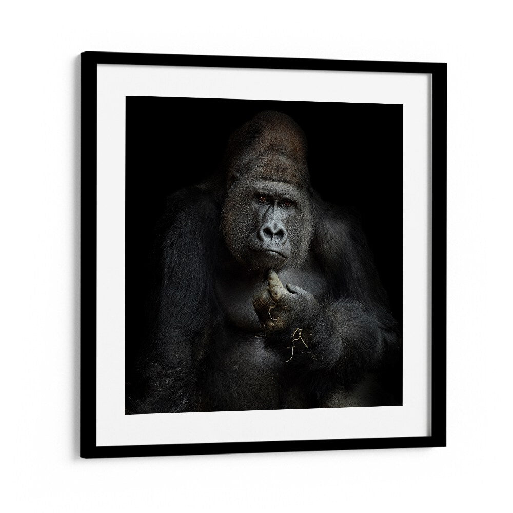 IMHO WILDLIFE PHOTOGRAPHY in Black Frame With Mount