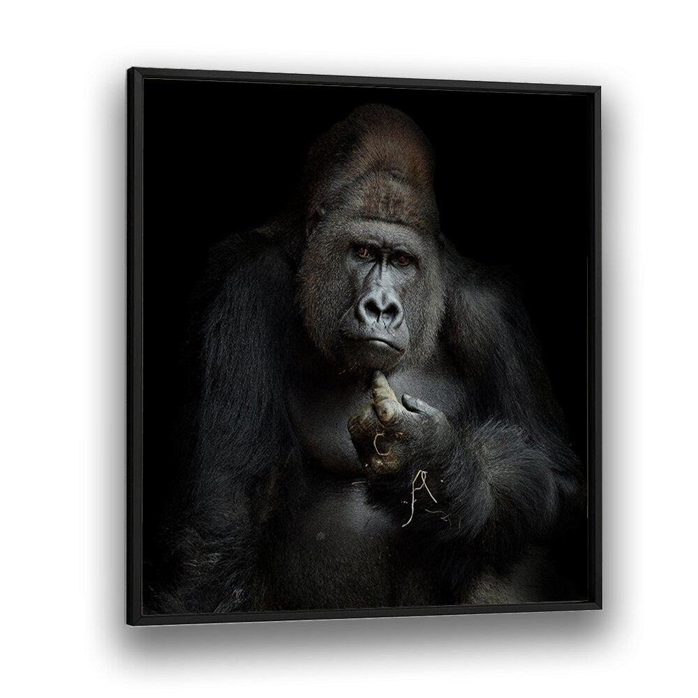 IMHO WILDLIFE PHOTOGRAPHY in Black Plain Frame