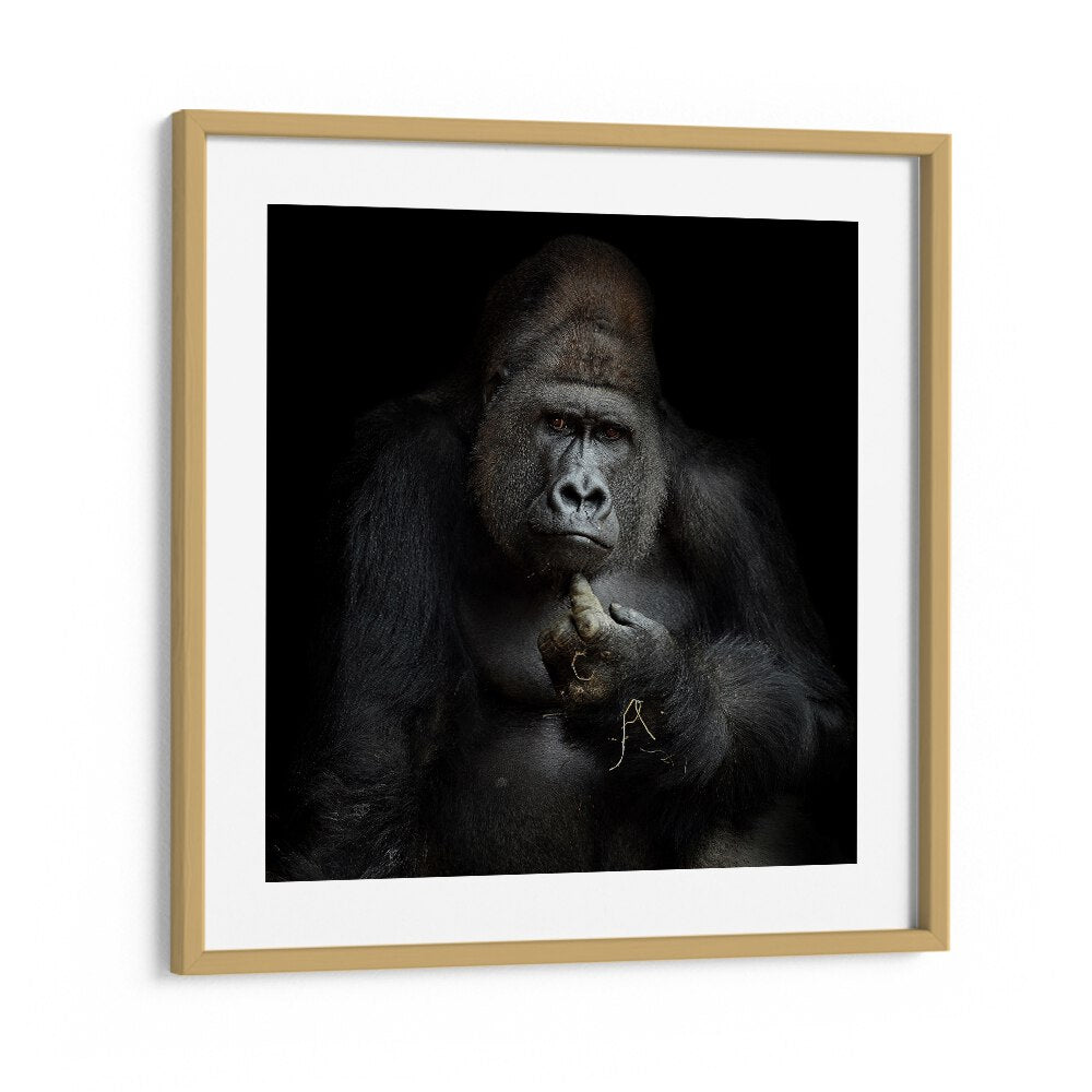 IMHO WILDLIFE PHOTOGRAPHY in Oak Wood Frame With Mount