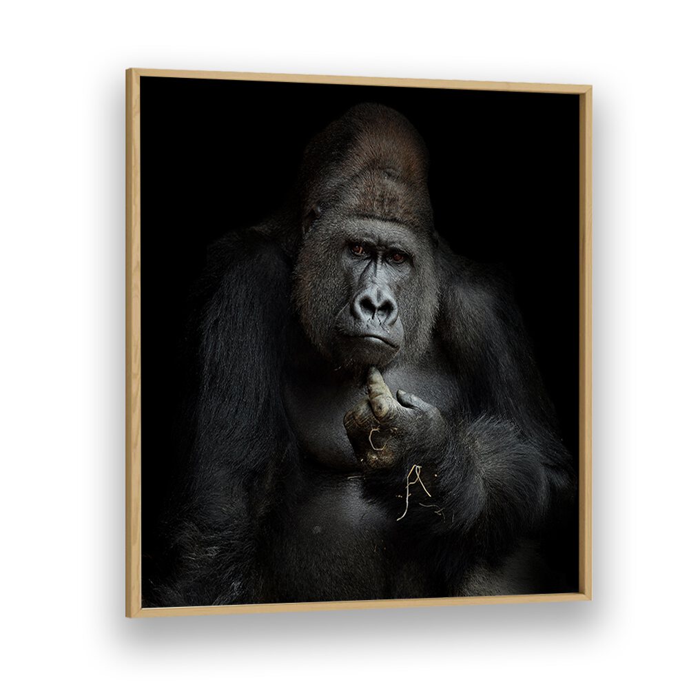 IMHO WILDLIFE PHOTOGRAPHY in Oak Wood Plain Frame