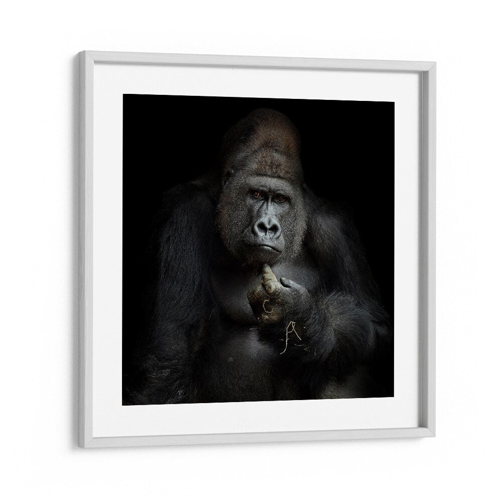 IMHO WILDLIFE PHOTOGRAPHY in White Frame With Mount