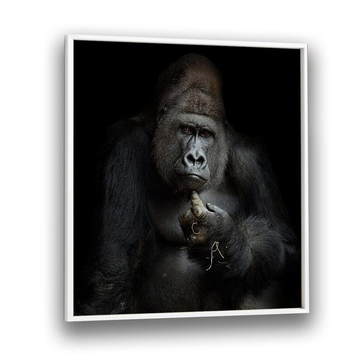 IMHOWILDLIFE PHOTOGRAPHY in White Plain Frame