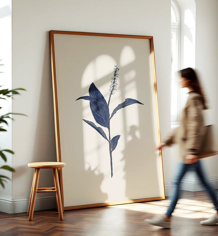 INDIGO BOTANICAL STUDY