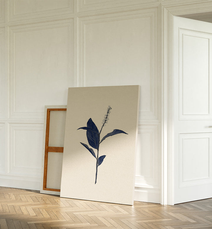 INDIGO BOTANICAL STUDY