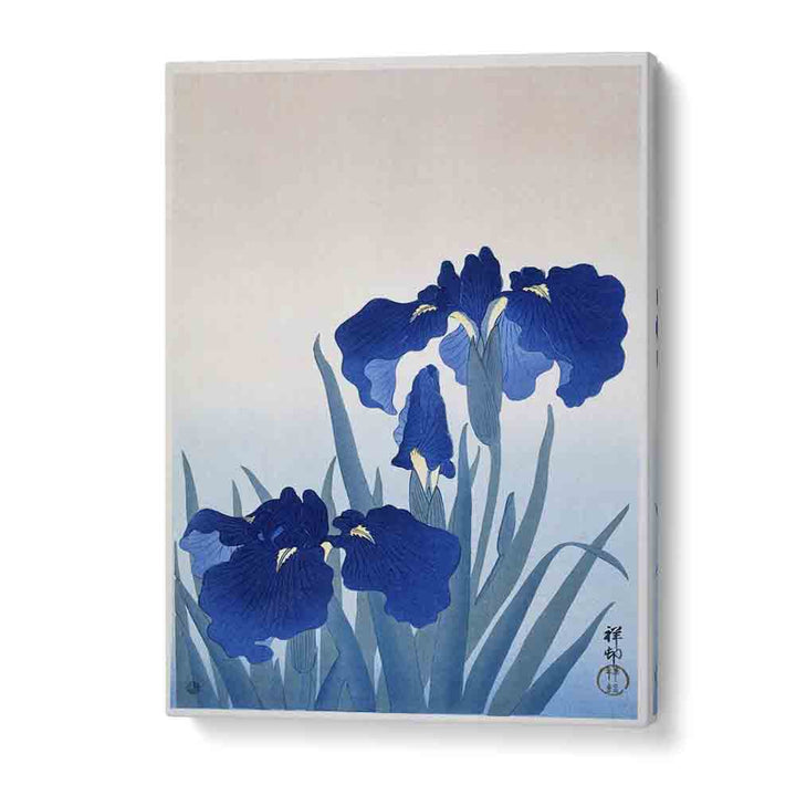 Iris Flowers By Ohara Koson (1925 - 1936) Japanese Art Artwork in Gallery Wrap
