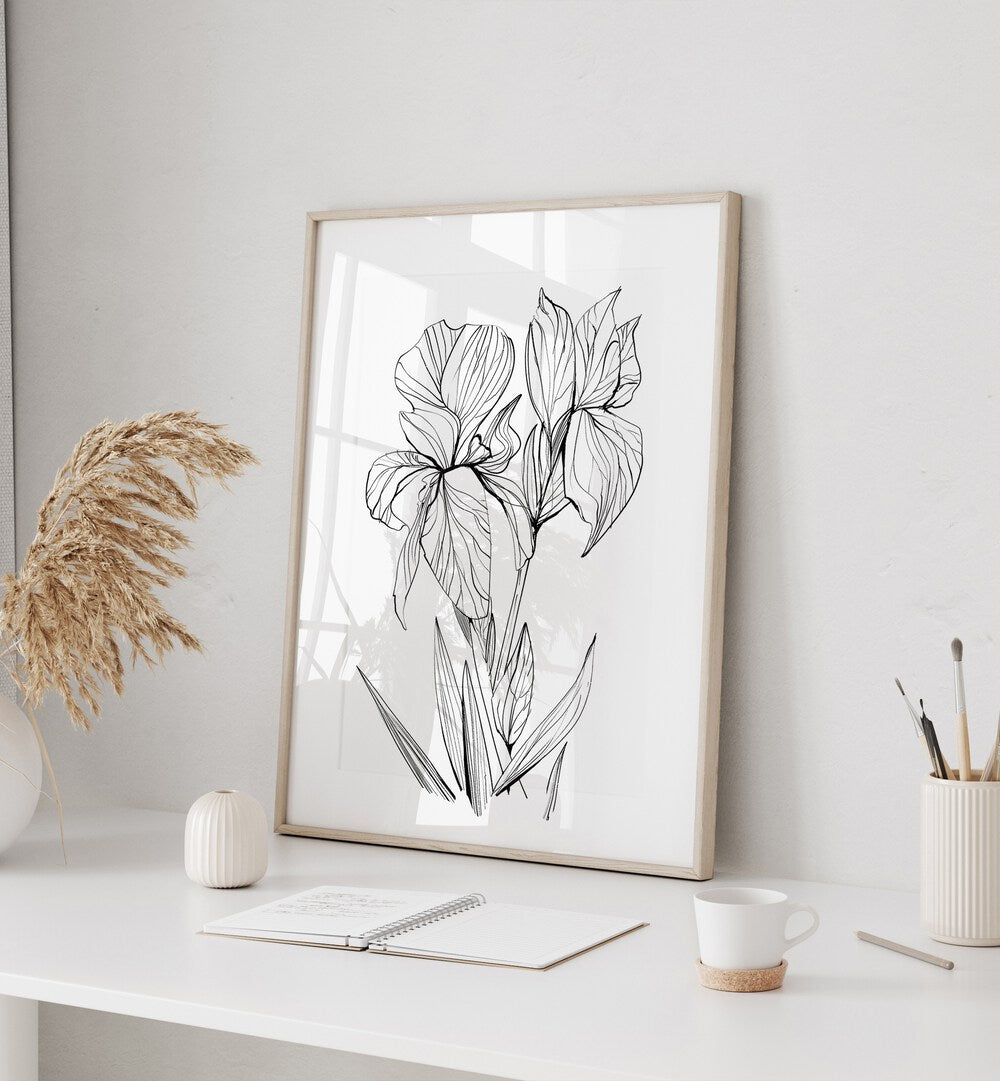 Elegant IRISES, FLORAL FLOWER PAINTINGS showcasing detailed black and white line art for a stunning decor accent.