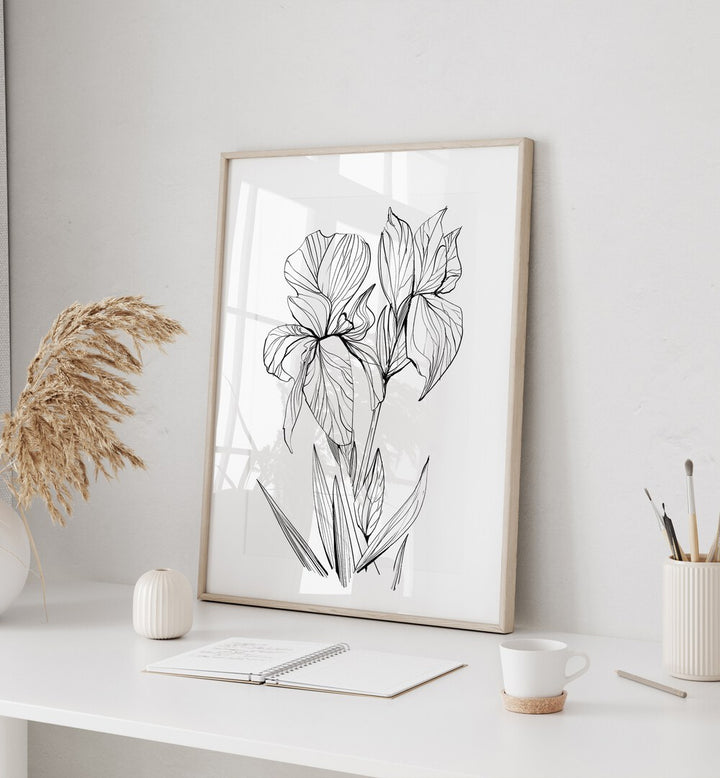 Elegant IRISES, FLORAL FLOWER PAINTINGS showcasing detailed black and white line art for a stunning decor accent.