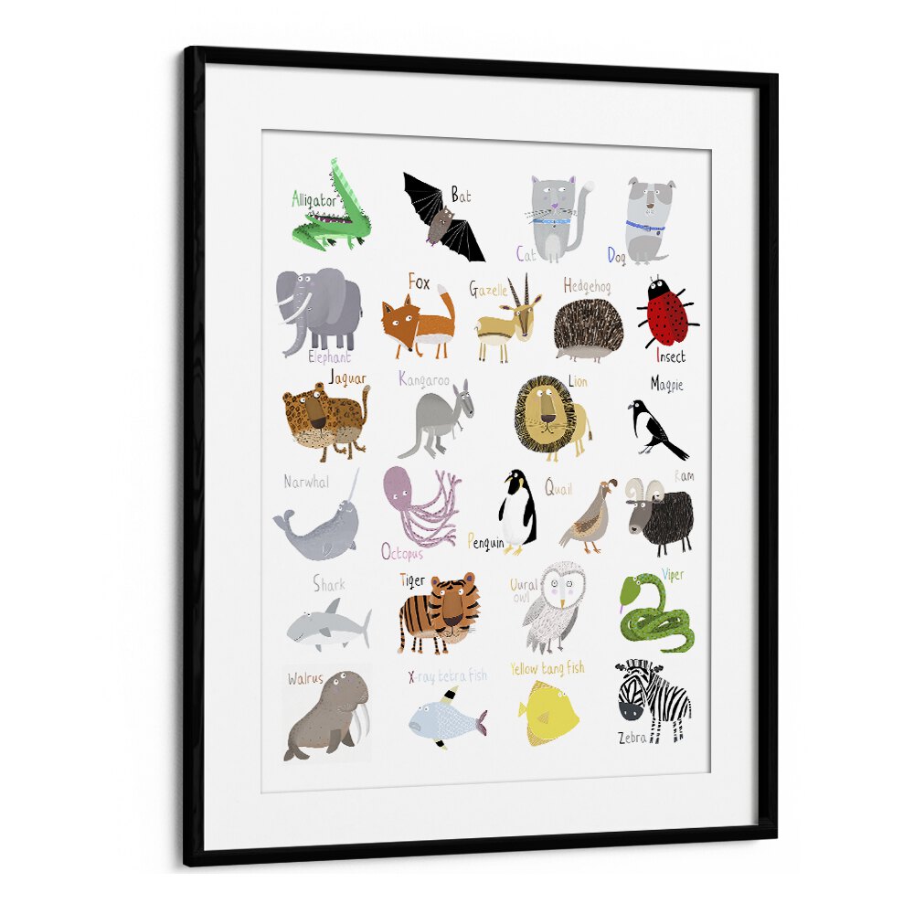 Illustrated Alphabet Animal Letters On White Background By Carla Daly Kids Painting in Black Frame With Mount