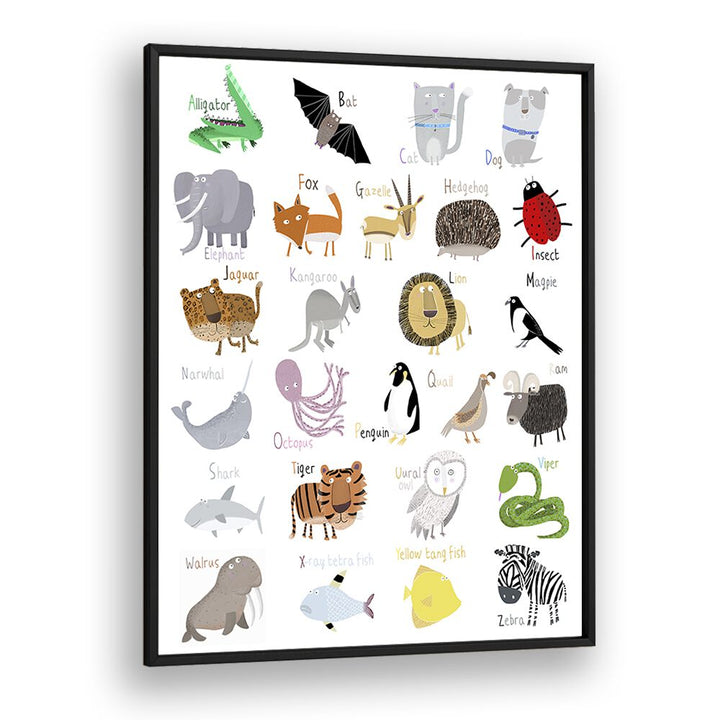 Illustrated Alphabet Animal Letters On White Background By Carla Daly Kids Painting in Black Plain Frame