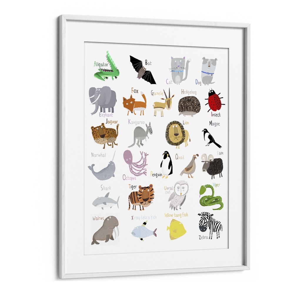 Illustrated Alphabet Animal Letters On White Background By Carla Daly Kids Painting in White Frame With Mount