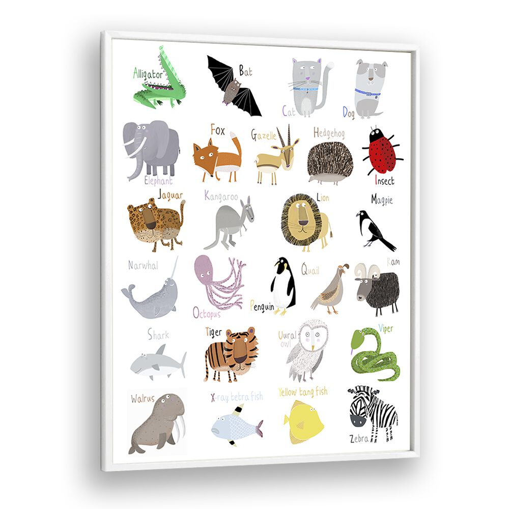 Illustrated Alphabet Animal Letters On White Background By Carla Daly Kids Painting in White Plain Frame