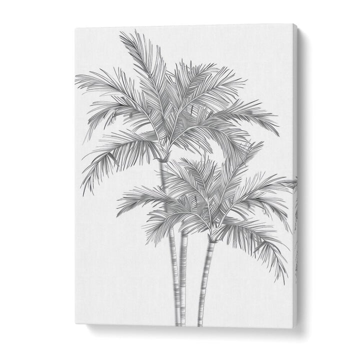 Ink Palm Promenade Beach Prints Coastal Wall Art in Gallery Wrap